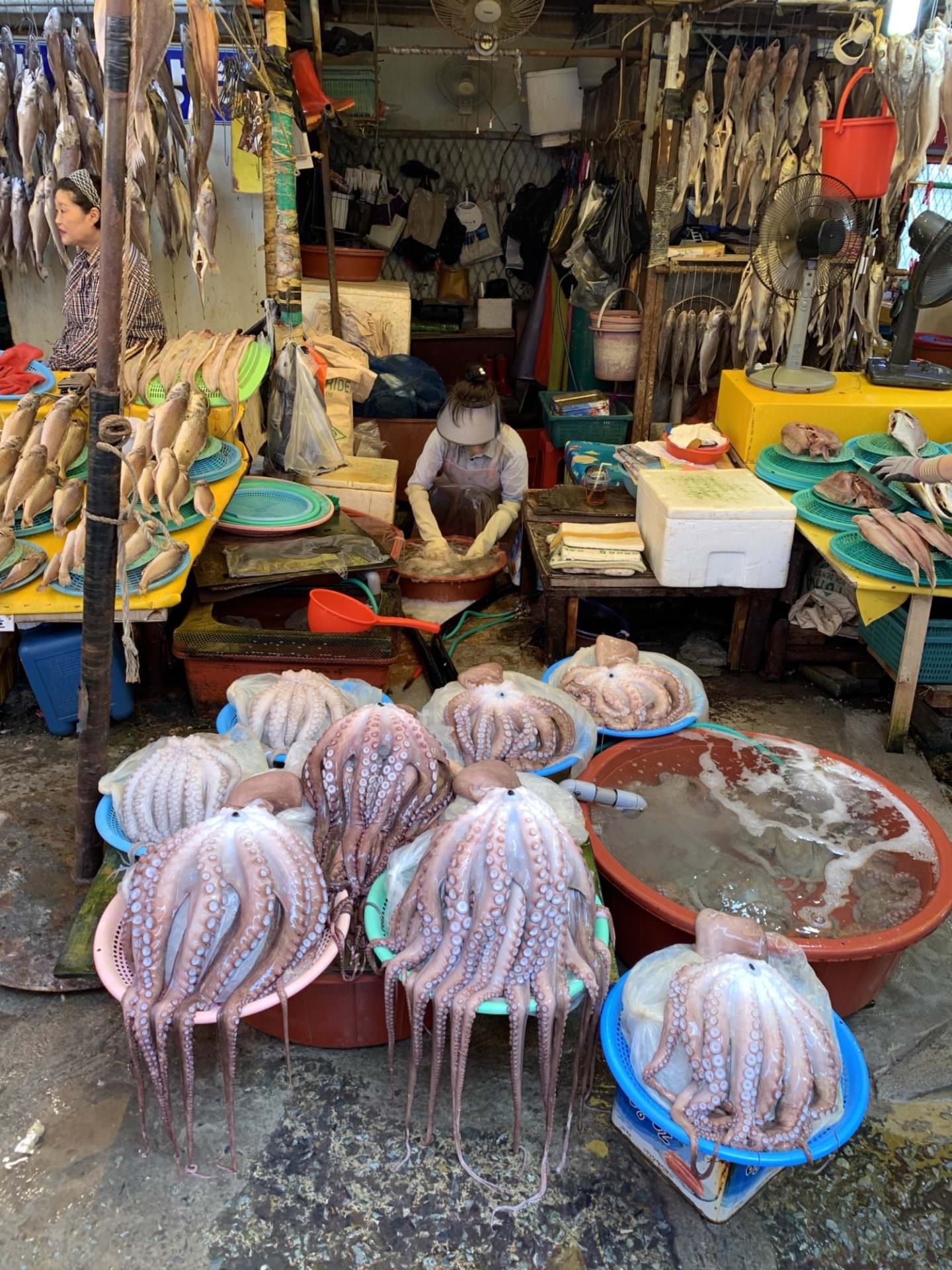 釜山観光 チャガルチ市場 韓国 釜山でも有名な海鮮市場 キャリア を脱ぎ捨てて